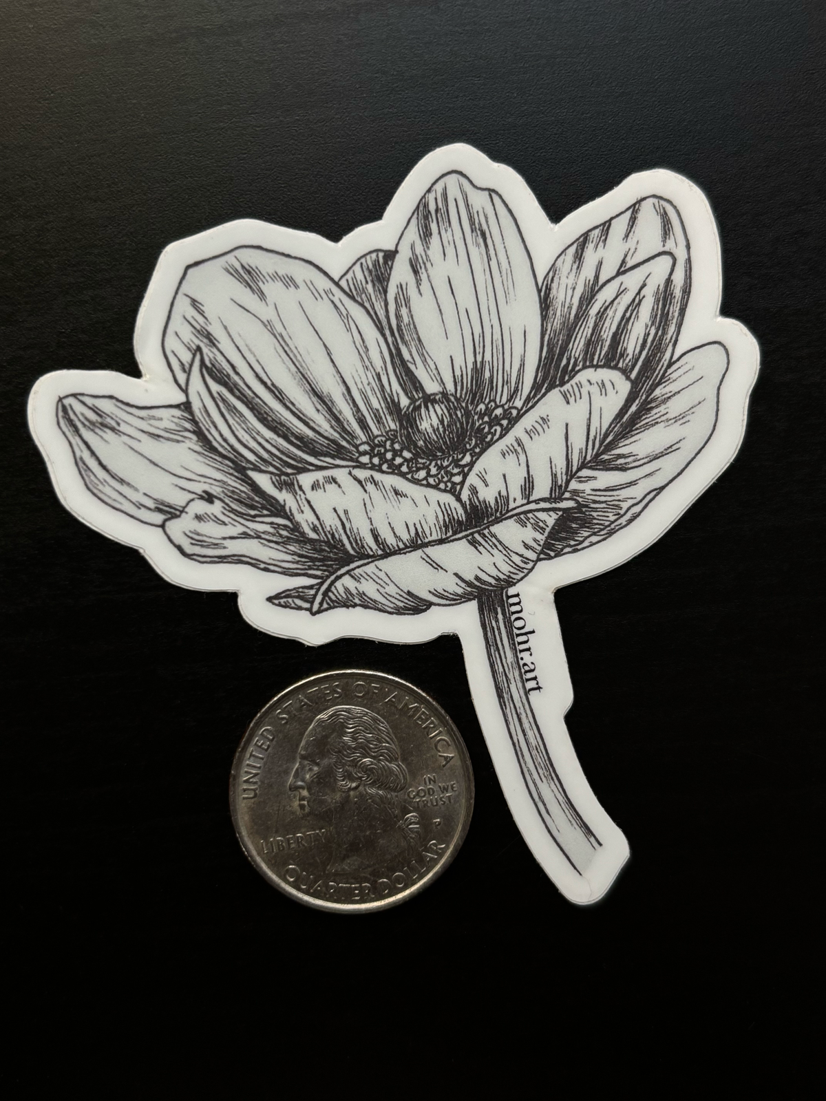 Anemone Flower Sticker