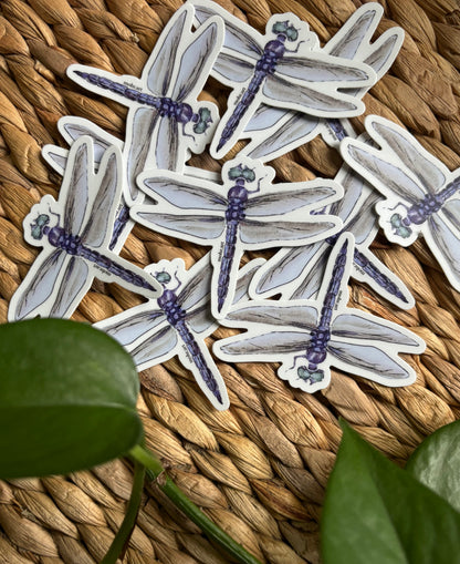 Dragonfly Sticker