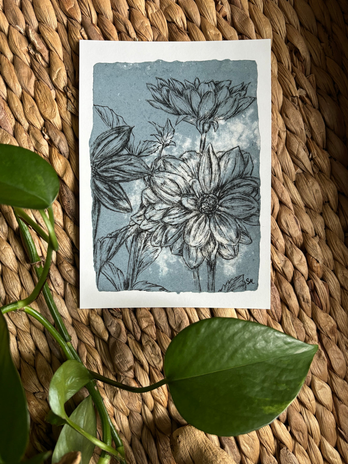 Dahlia Print