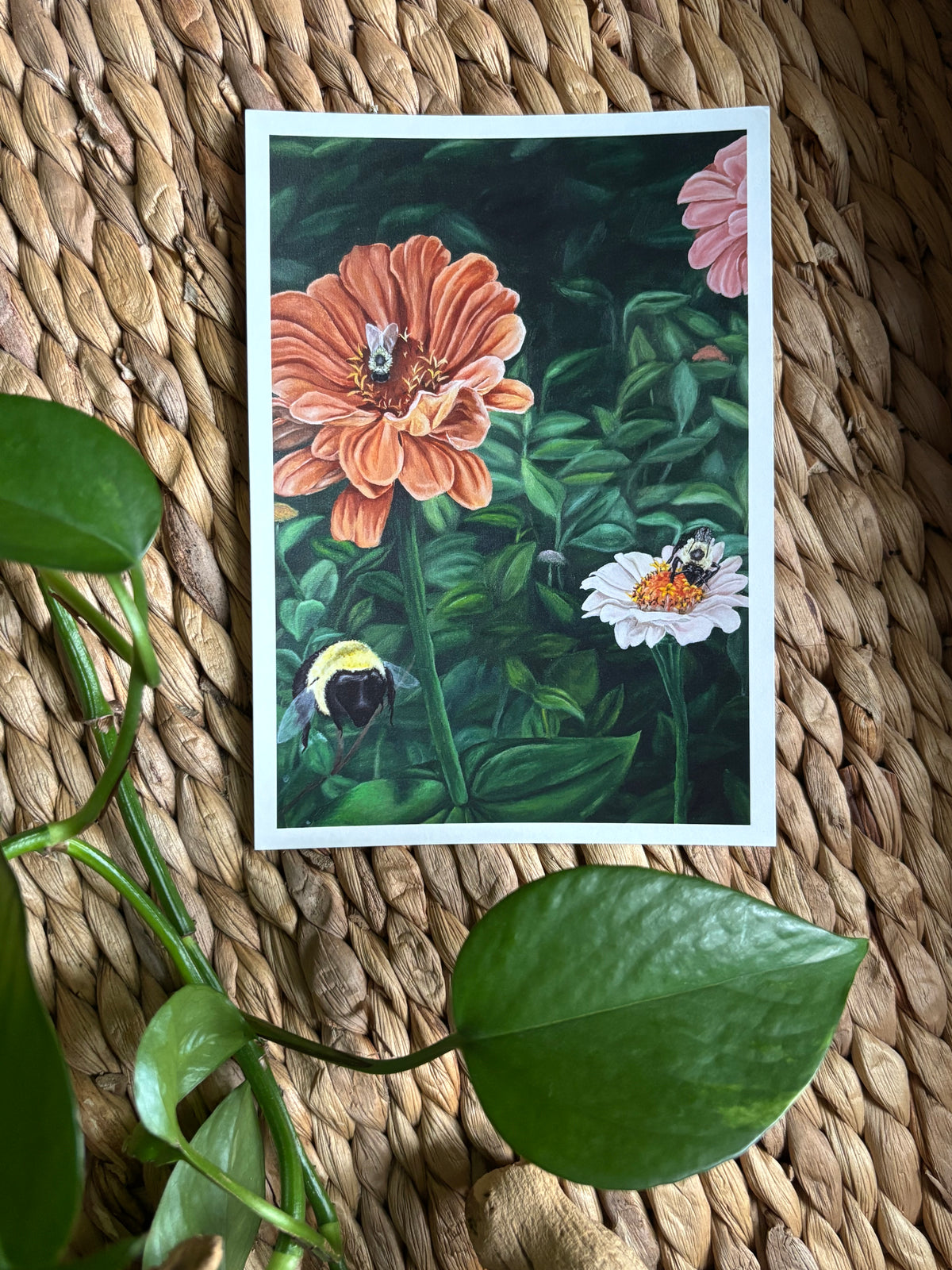 Zinnia Garden Print