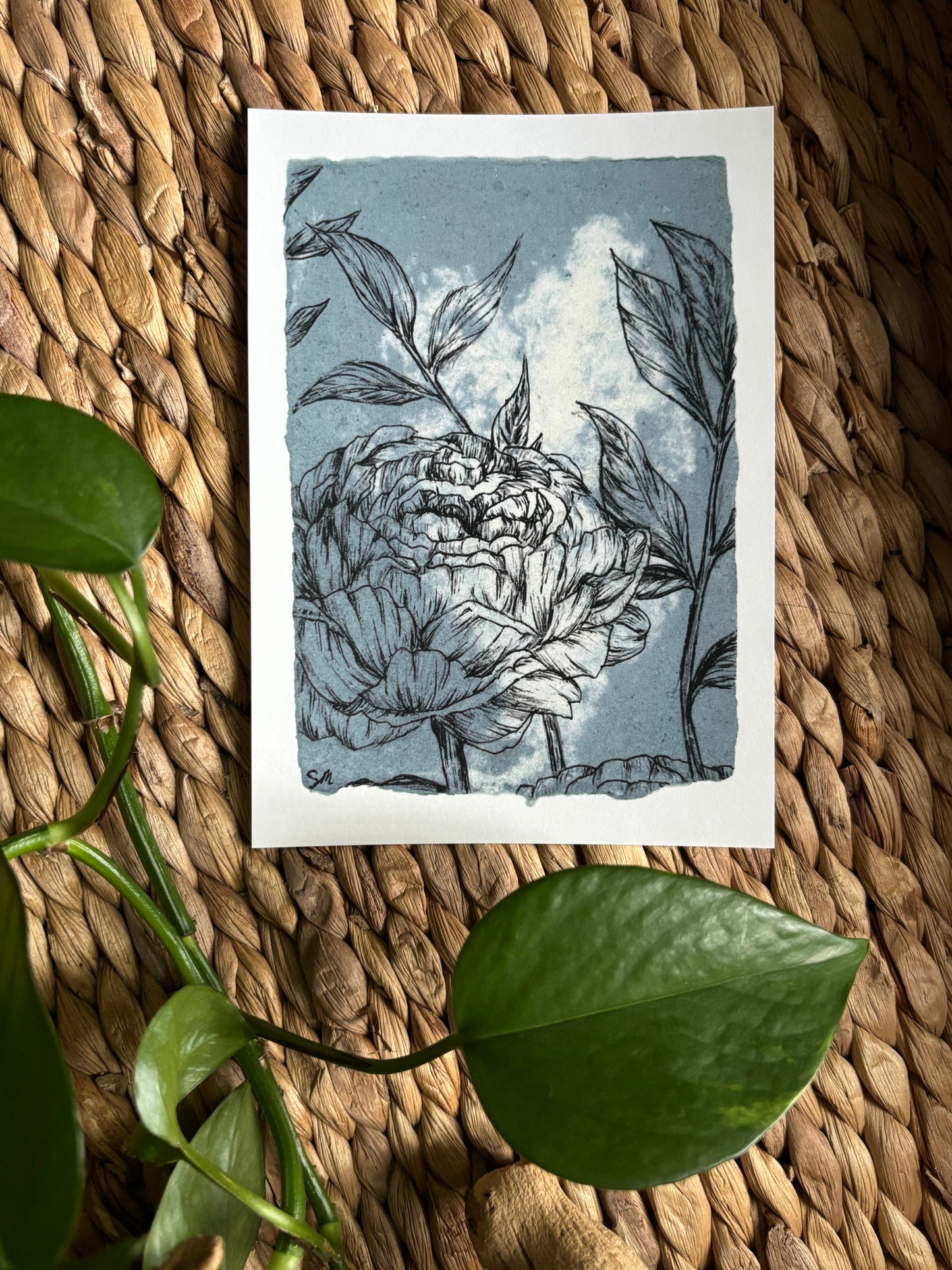 Peony Print