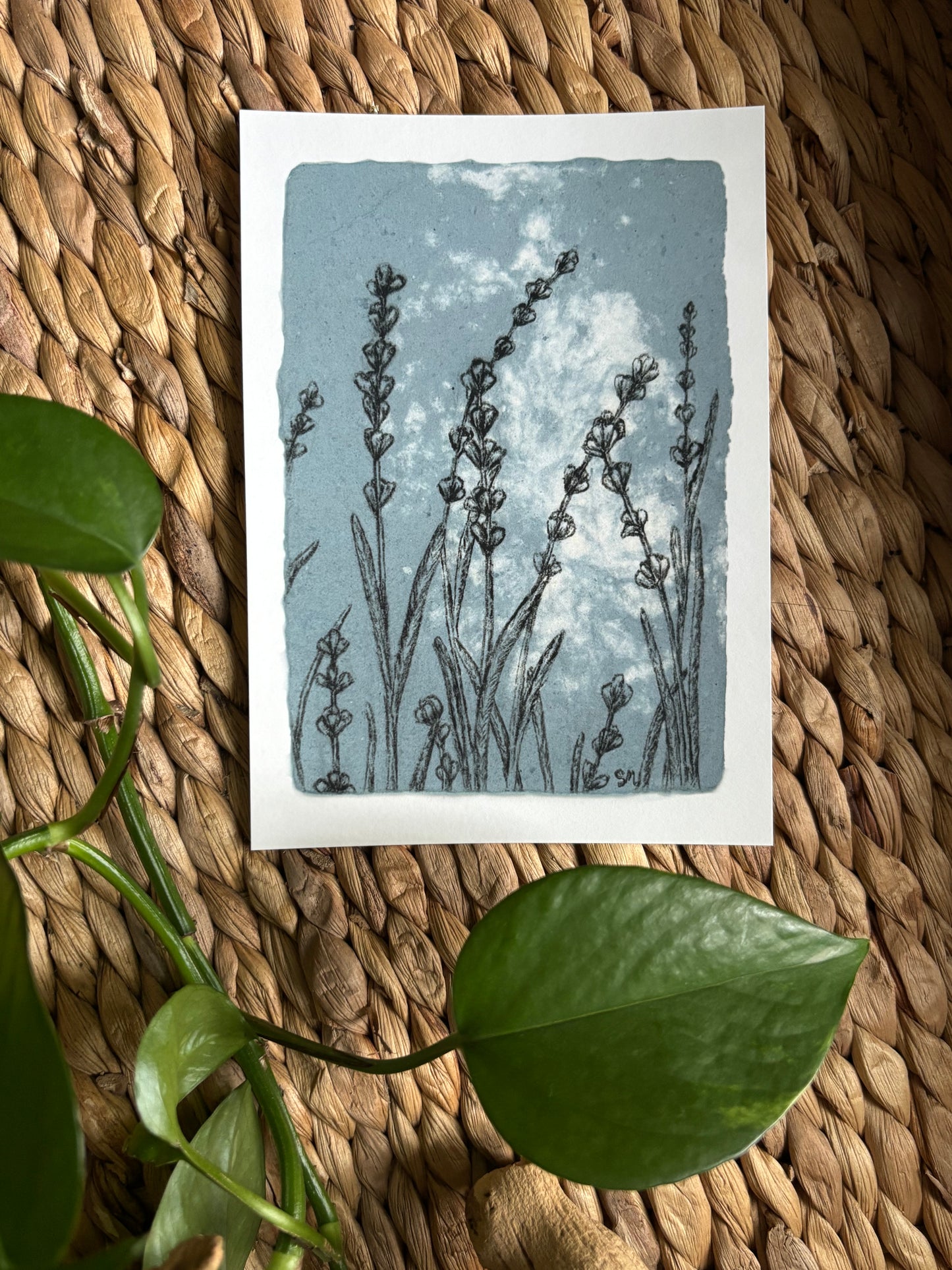 Lavender Print