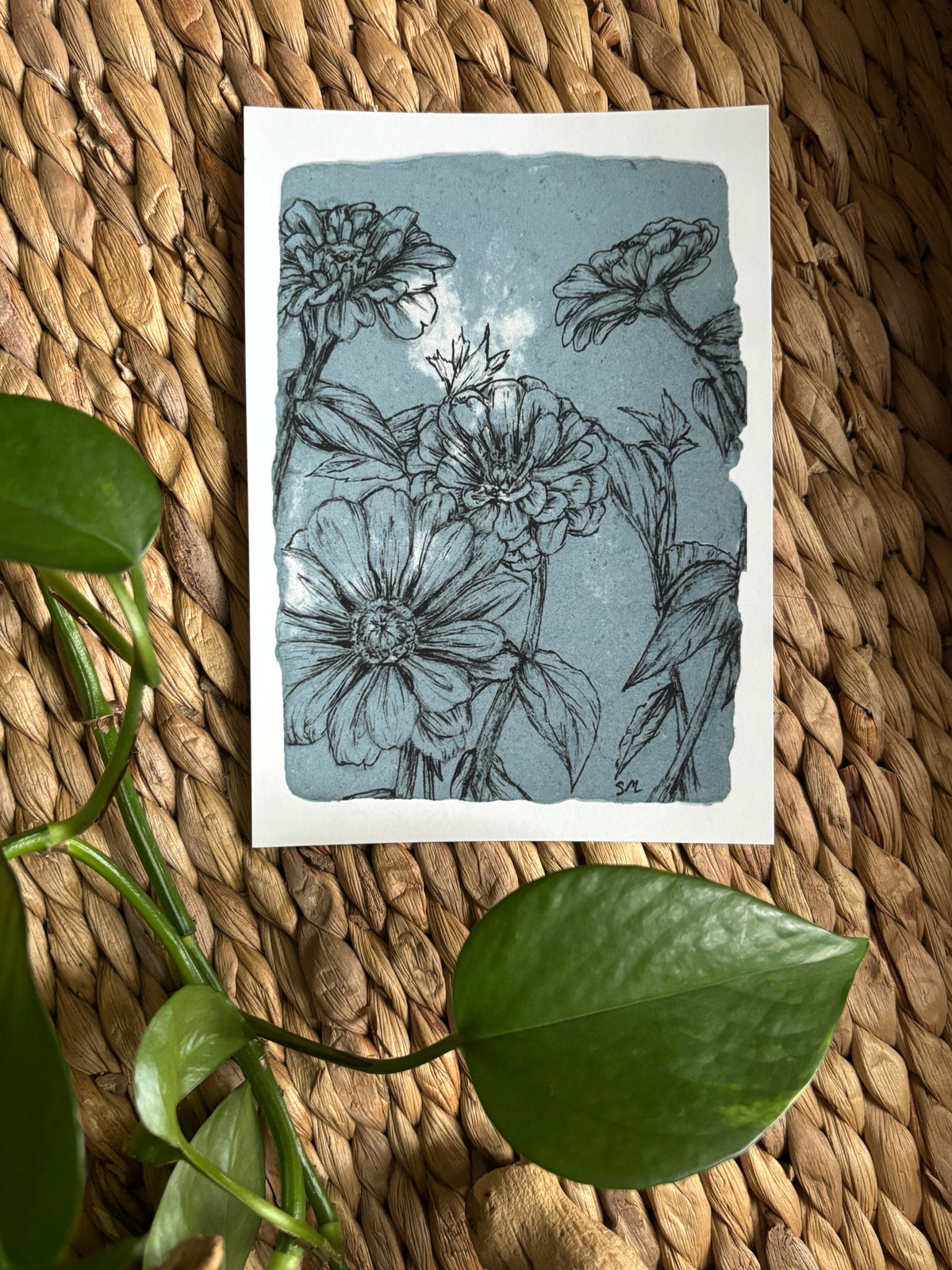 Zinnia Print