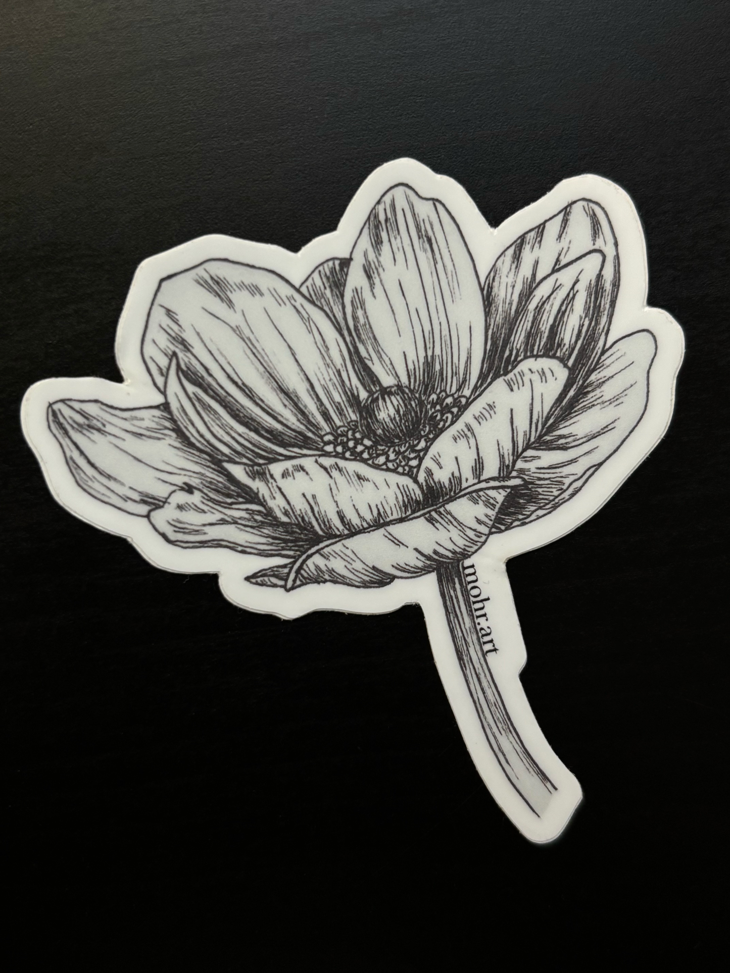 Anemone Flower Sticker