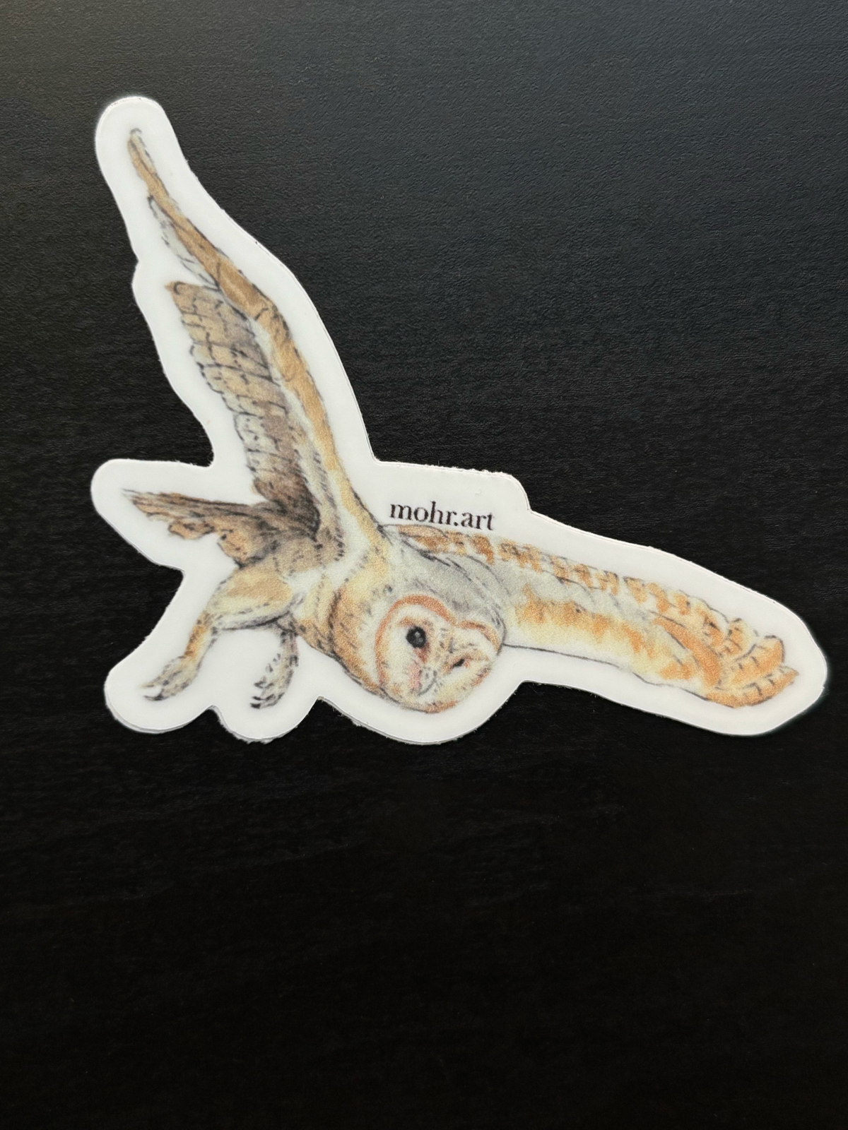 Owl Sticker