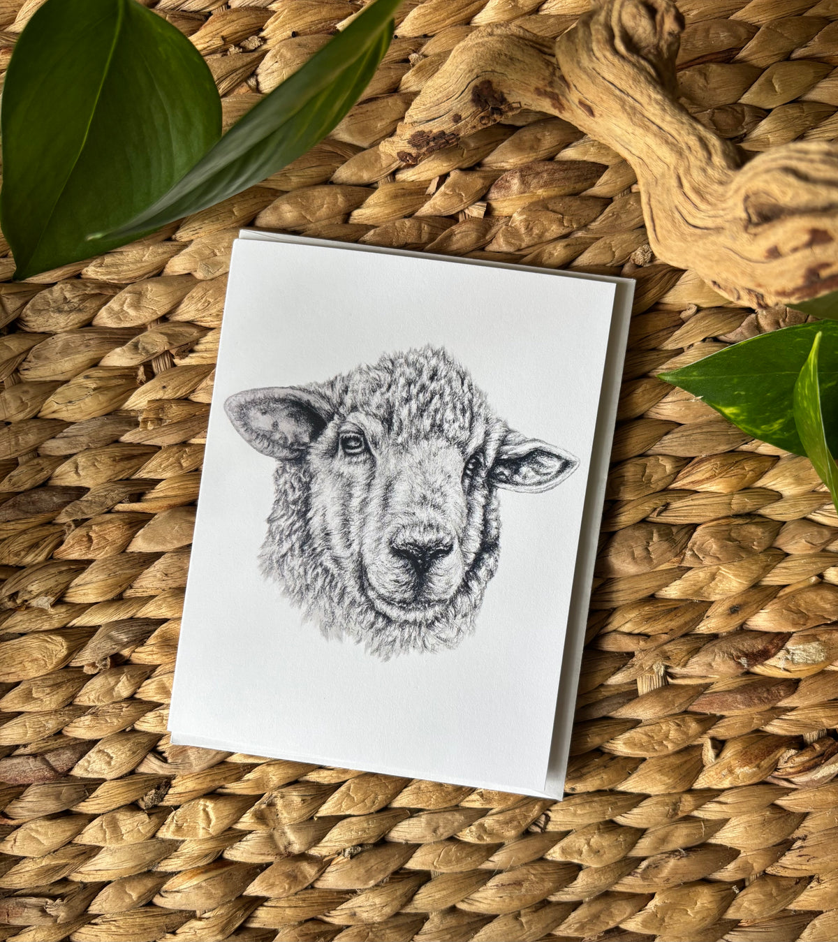 Hand-drawn Notecard-Salt the Sheep