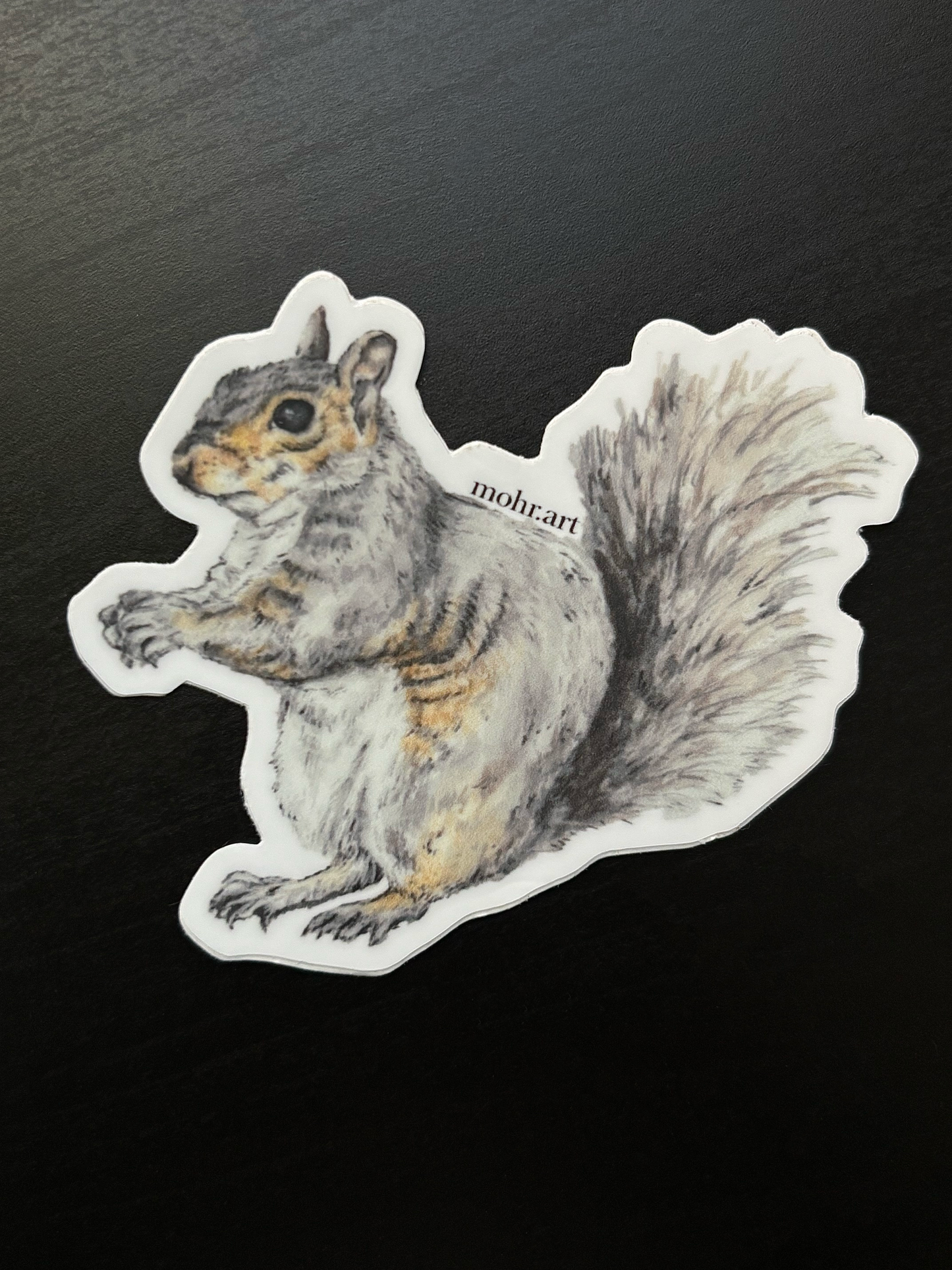 Squirrel Sticker