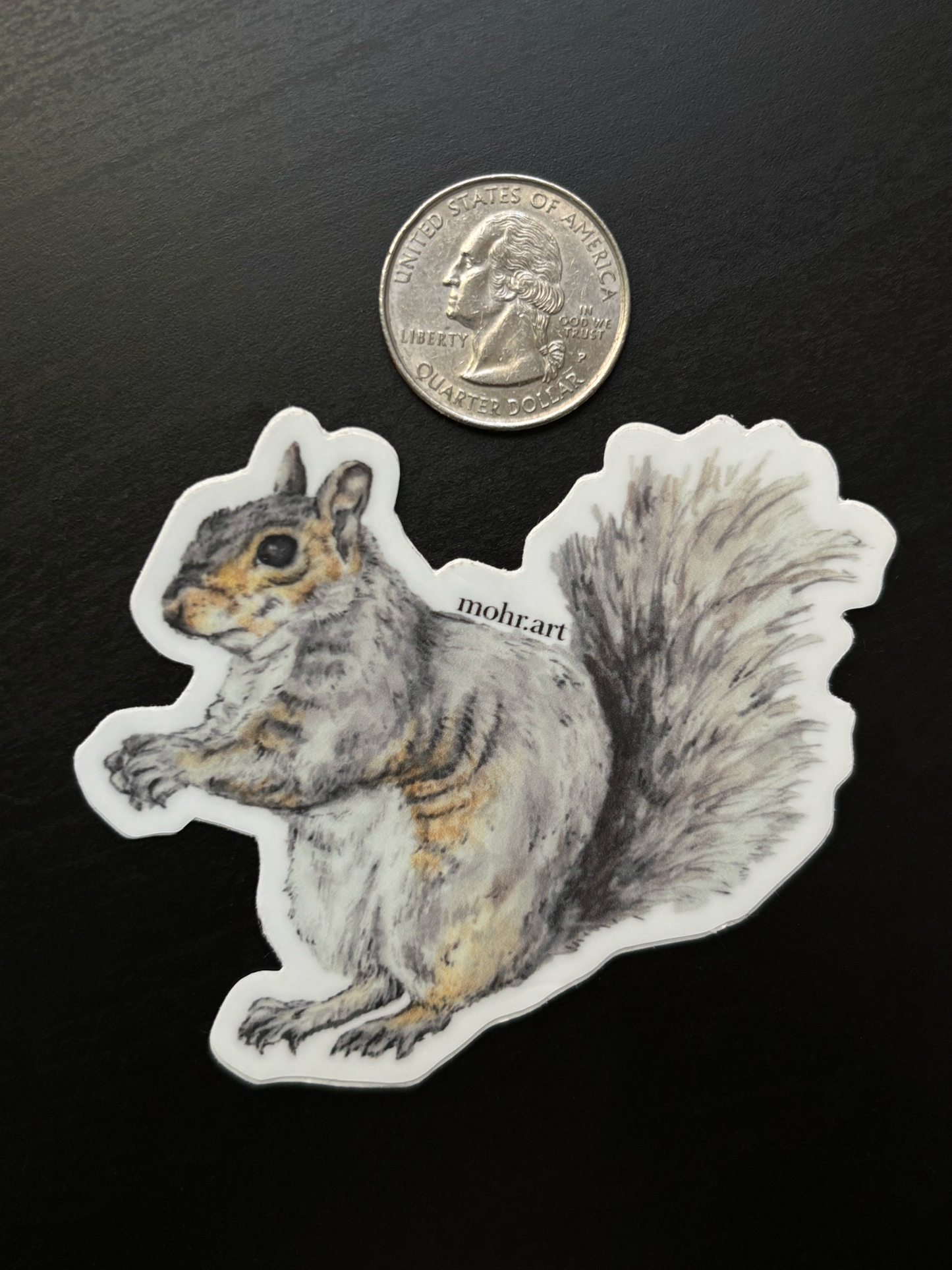 Squirrel Sticker