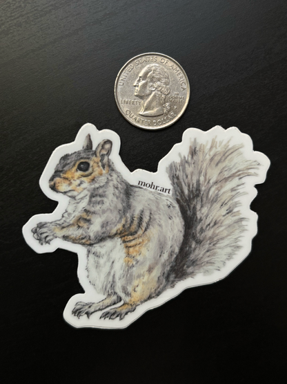 Squirrel Sticker