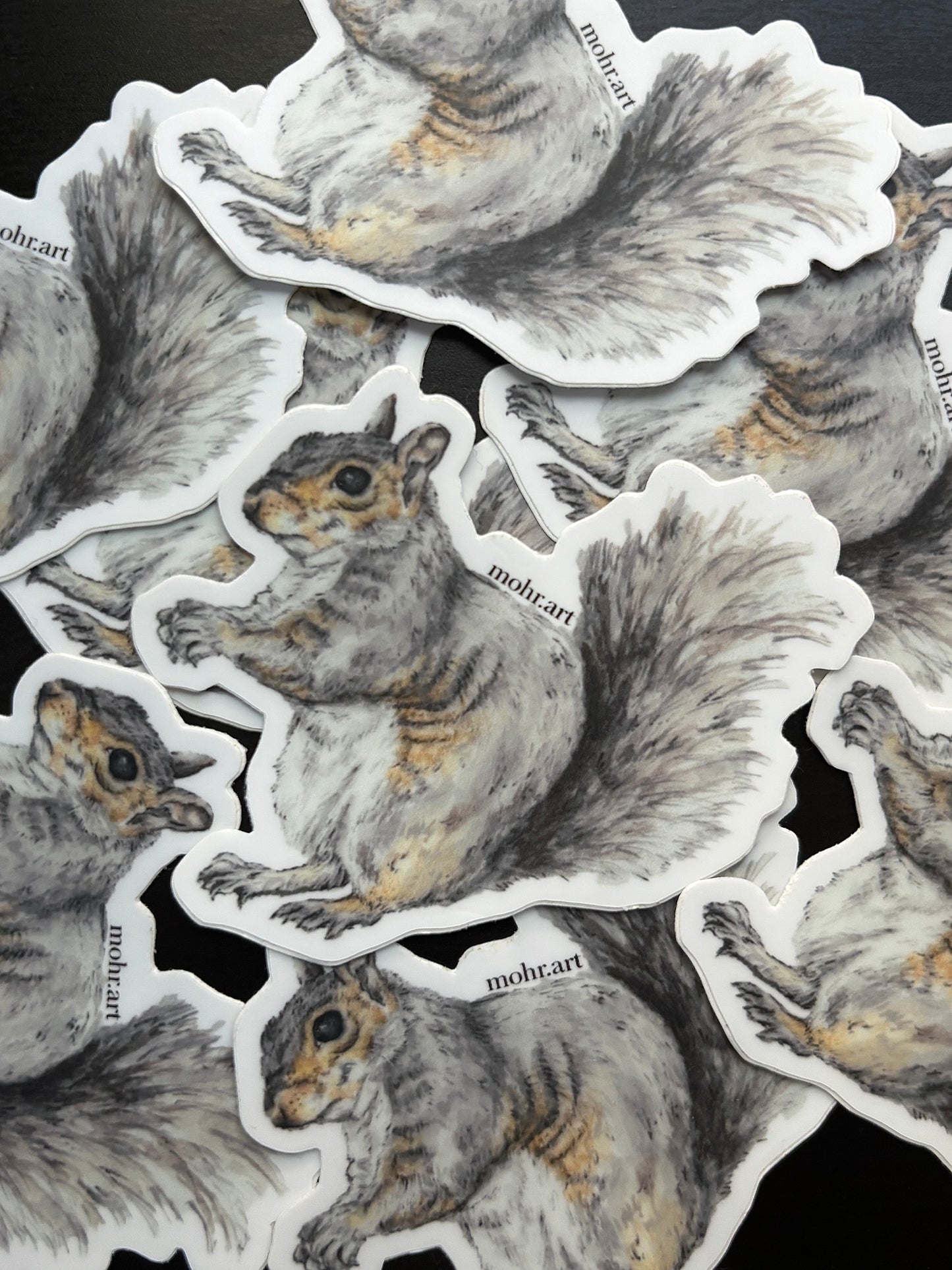 Squirrel Sticker
