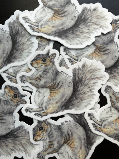 Squirrel Sticker